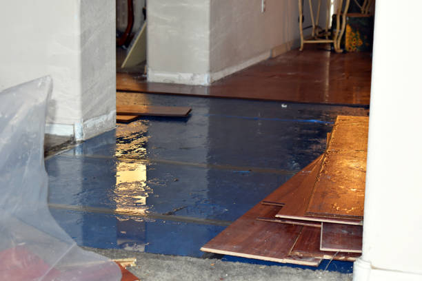 Professional Burst Pipe Cleanup technician working in Hutchins, TX